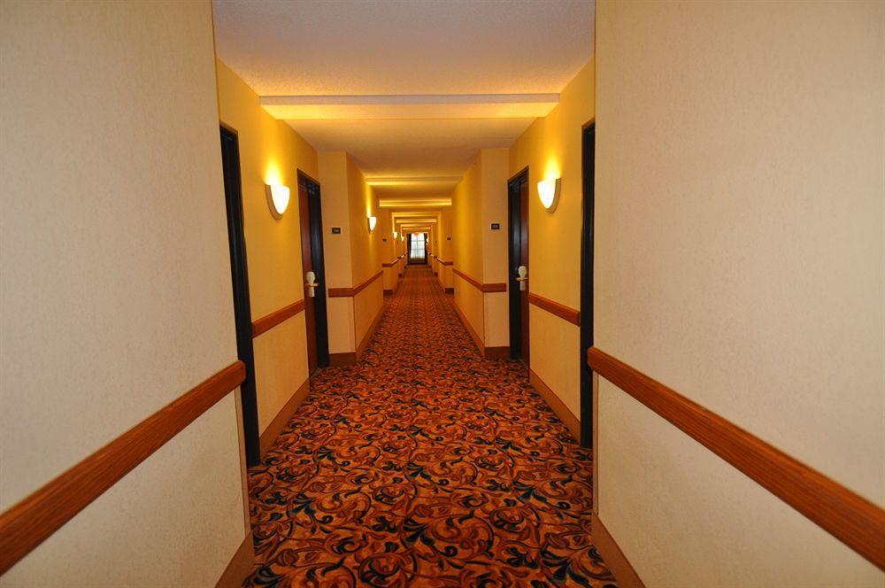 Comfort Inn & Suites New Orleans Airport North Kenner İç mekan fotoğraf